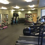 Workout Area Tread Mills